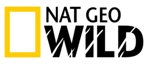 1 (8)