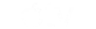 Apple TV contenu streaming avec abonnement IPTV premium
